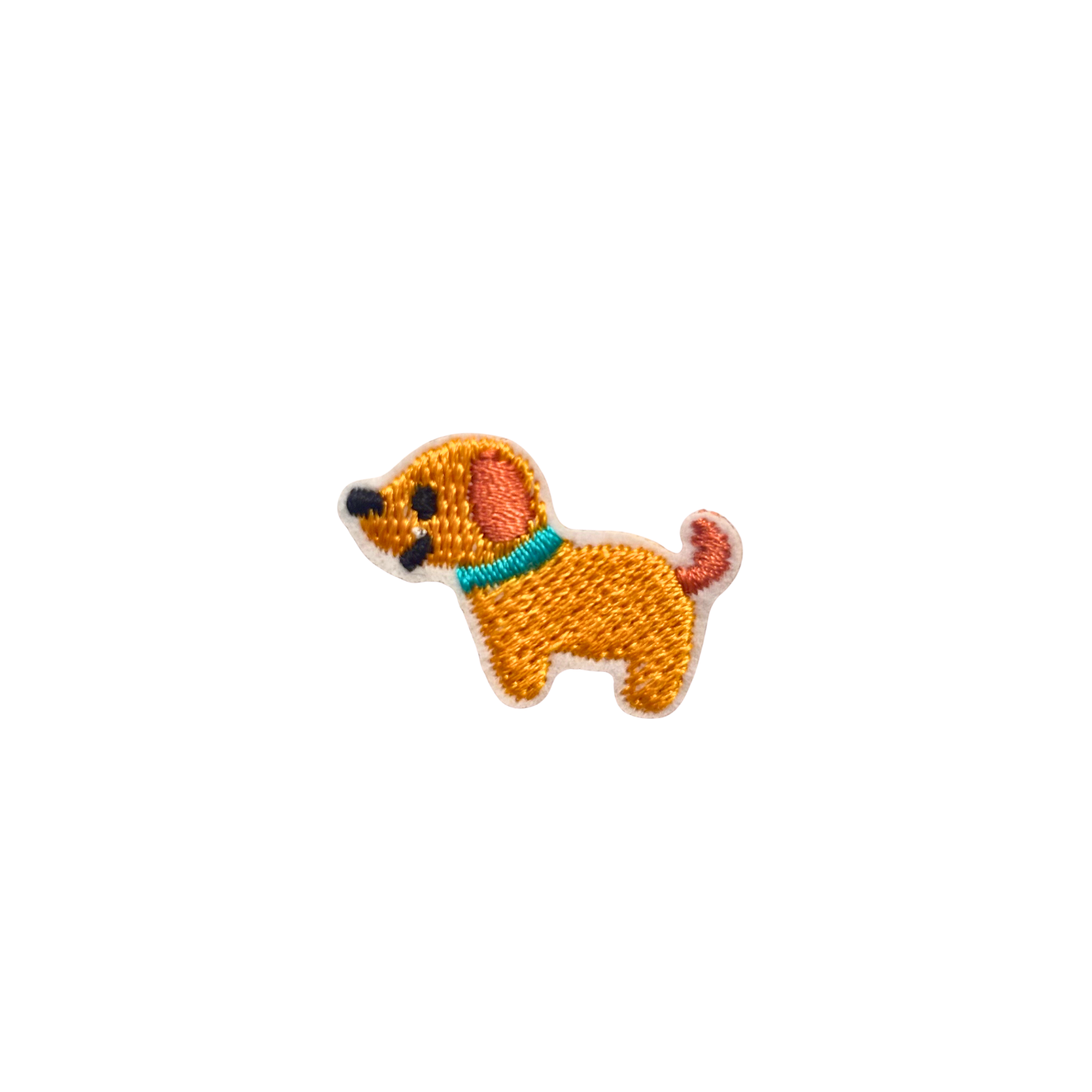 Dachshund