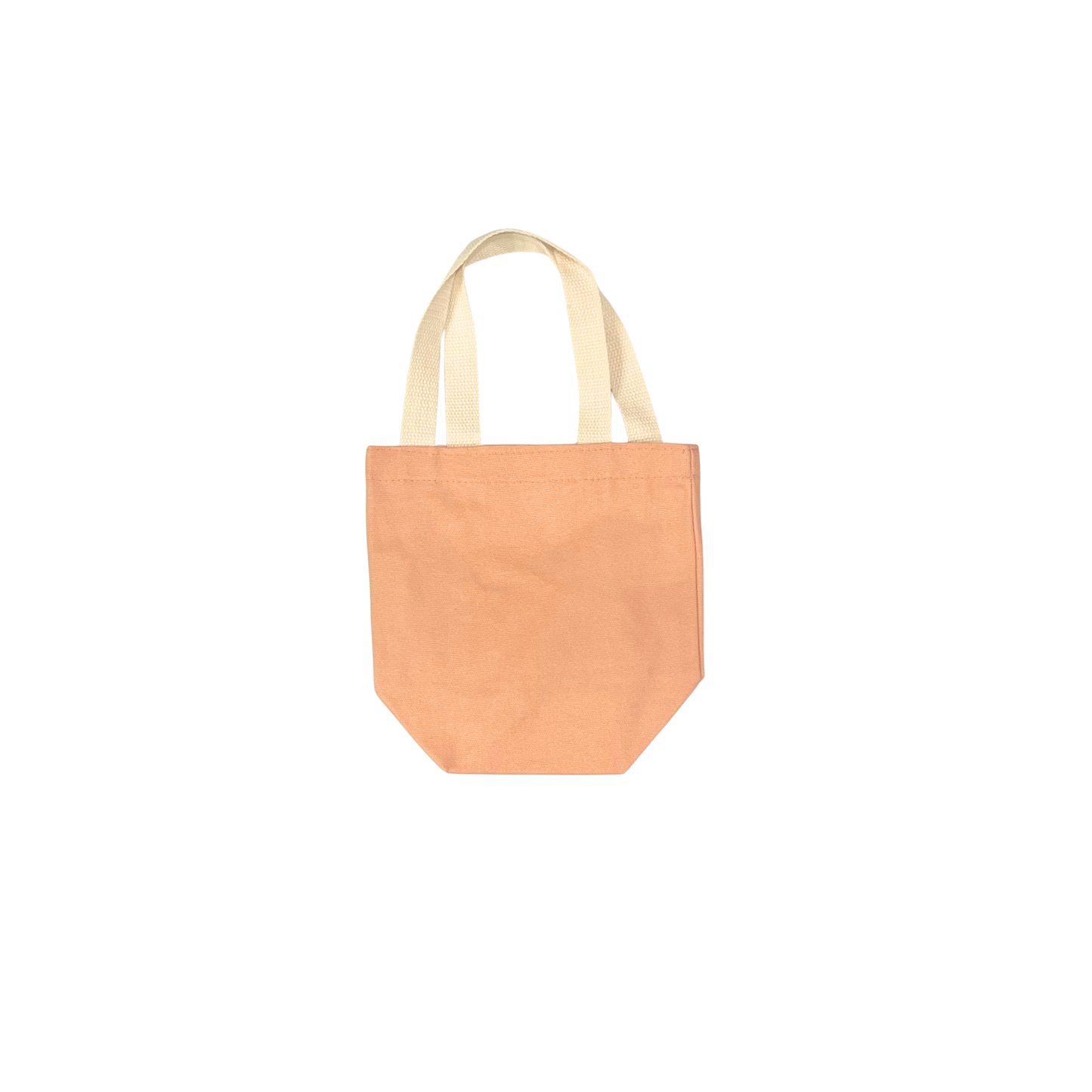 Mini Tote Bag
