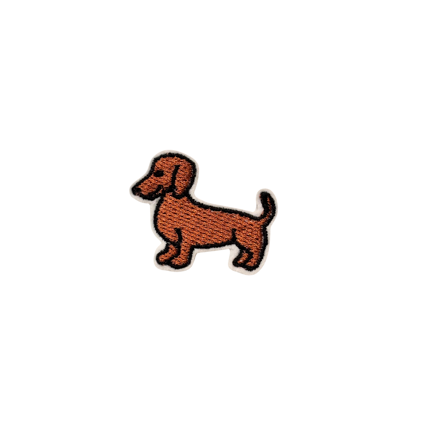 Dachshund Rosie
