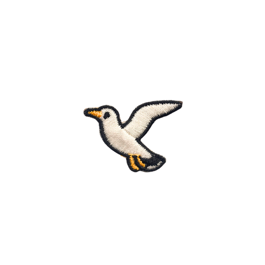 Seagull